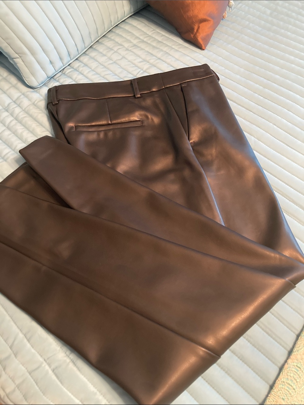 LOFT Women's  Faux Leather Pants